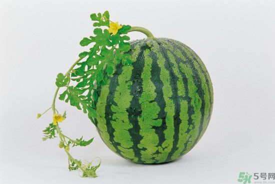 西瓜怎么挑熟的甜的？西瓜的儲存方法？