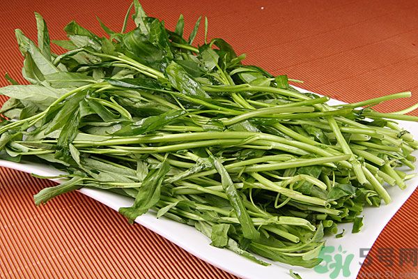 空心菜是菠菜嗎？空心菜是不是菠菜？