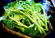空心菜沒有炒熟能吃嗎?空心菜沒炒熟吃了會(huì)怎么樣