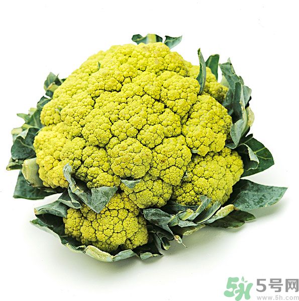 玉川和斯利安哪個好？葉酸片什么牌子最好？