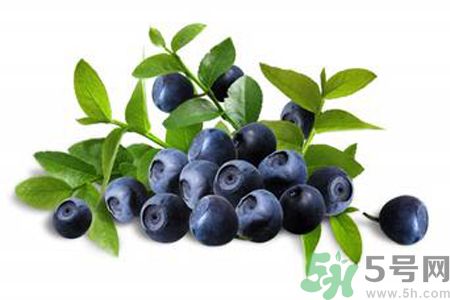 藍(lán)莓是不是發(fā)物？藍(lán)莓是發(fā)物嗎？
