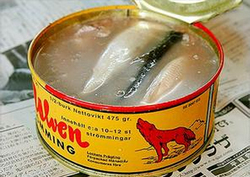 鯡魚(yú)罐頭是什么?鯡魚(yú)罐頭為什么這么臭