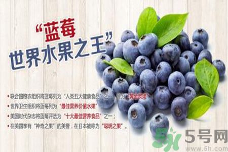 衣服上面染上了藍(lán)莓汁怎么辦？藍(lán)莓漬怎么清洗？