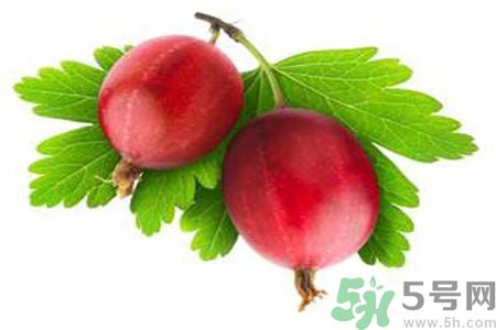 吃無花果干會長胖嗎？怎樣吃無花果干不會長胖？
