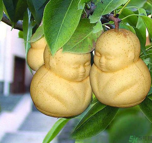 哺乳期可以吃人參果嗎？哺乳期吃人參果好嗎？