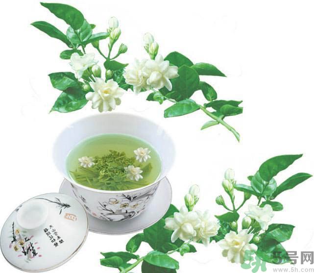 喝茉莉花茶會(huì)過(guò)敏嗎？喝茉莉花茶過(guò)敏了怎么辦？