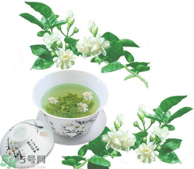 茉莉花茶可以減肥嗎？怎樣喝茉莉花茶可以減肥？