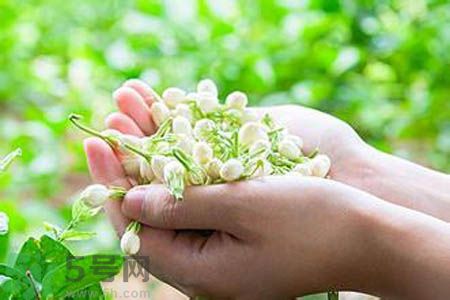 茉莉花茶可以和玫瑰花茶一起喝嗎？茉莉花茶和玫瑰花茶一起泡著喝好嗎？