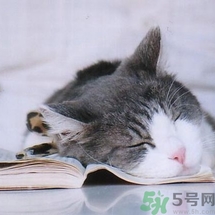 如何控油？如何控油祛痘？