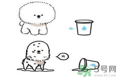 虛胖是什么原因？虛胖怎么辦？