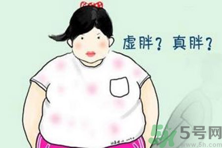 虛胖吃什么中藥？虛胖吃什么中藥有效？