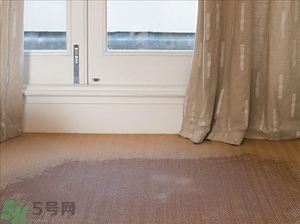 房間潮濕怎么辦？房間潮濕如何解決？