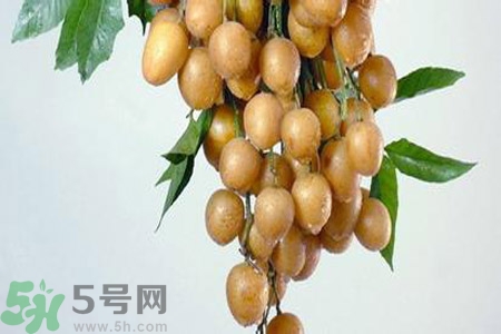 黃皮果是酸性還是堿性？黃皮果是堿性嗎？