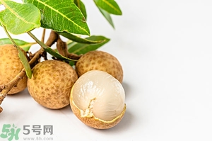 桂圓可以泡酒嗎？桂圓的功效與作用