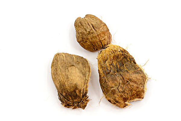 嚼檳榔的好處和壞處 嚼檳榔頭暈怎么回事？
