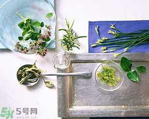 吃韭菜能減肥嗎？韭菜的功效與作用