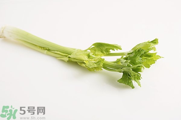 芹菜對(duì)精子有害嗎？芹菜對(duì)精子質(zhì)量有什么影響？