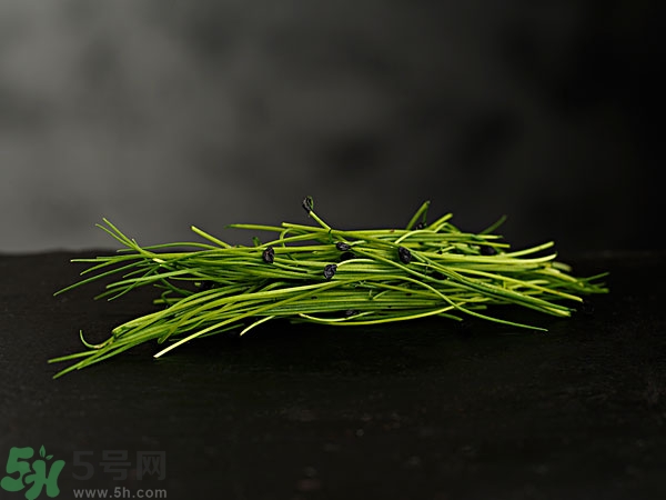 吃韭菜會燒心嗎？吃韭菜燒心怎么辦？