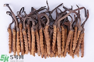 冬蟲夏草是怎么形成的？冬蟲夏草是蟲子嗎？