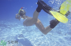 浮潛是什么意思？深潛和浮潛有什么區(qū)別？?