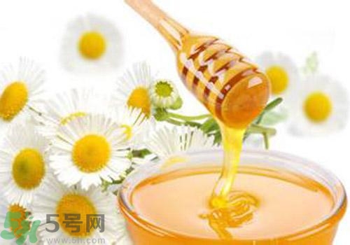 什么蜂蜜才是好蜂蜜？好壞蜂蜜的鑒別