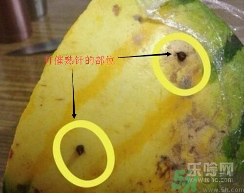 如何辨別催熟的西瓜？催熟的西瓜是什么樣的？