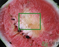 如何辨別催熟的西瓜？催熟的西瓜是什么樣的？
