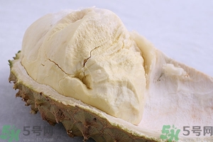 榴蓮能放冰箱嗎？榴蓮放在冰箱能保存幾天？