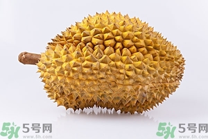 榴蓮能放冰箱嗎？榴蓮放在冰箱能保存幾天？