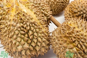 榴蓮能放冰箱嗎？榴蓮放在冰箱能保存幾天？