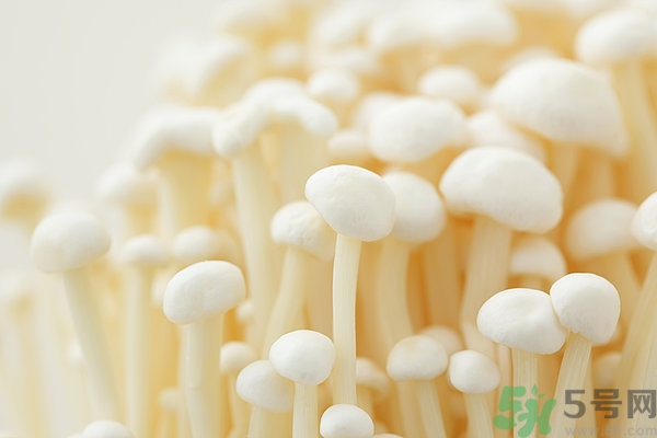 吃金針菇要注意什么？金針菇的食用禁忌