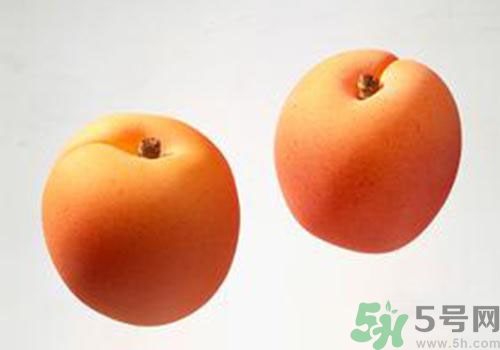 杏子是酸性還是堿性？杏子是酸性的嗎？