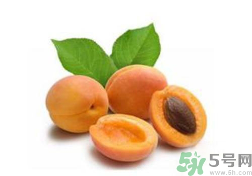 杏子上有黑點(diǎn)是怎么回事？杏子上有斑點(diǎn)可以吃嗎？