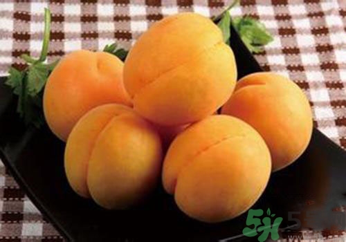 杏子皮可以吃嗎？吃杏子要剝皮嗎？