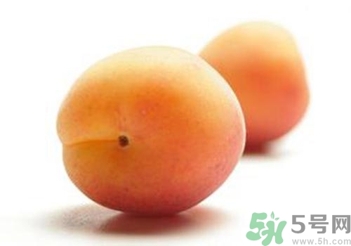 杏子有毒嗎？杏子吃了會(huì)中毒嗎？