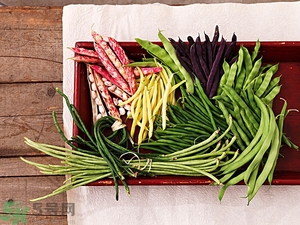 痛風(fēng)能吃豆角嗎？痛風(fēng)吃豆角行嗎？
