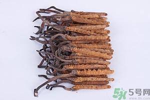 冬蟲(chóng)夏草真假怎么鑒別？冬蟲(chóng)夏草怎么吃效果最好？