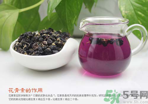 黑枸杞泡水是什么顏色？黑枸杞泡水是紫色的嗎？