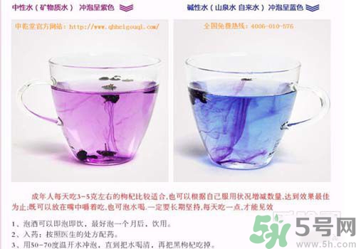 黑枸杞怎么辨別真假？怎么挑選黑枸杞？