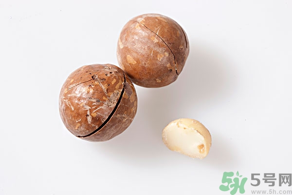 夏威夷果什么時(shí)候成熟上市？腰果和夏威夷果的區(qū)別