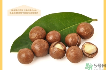 夏威夷果肉黏殼怎么辦？夏威夷果能放多久？