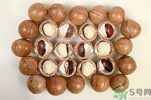 夏威夷果產(chǎn)地在哪里？夏威夷果為什么有奶香？