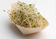 豆芽可以生吃嗎？豆芽炒粉條的家常做法