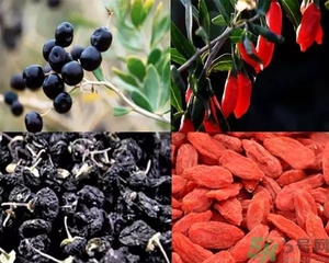 黑枸杞和紅枸杞有什么區(qū)別？黑枸杞和紅枸杞哪個(gè)好？