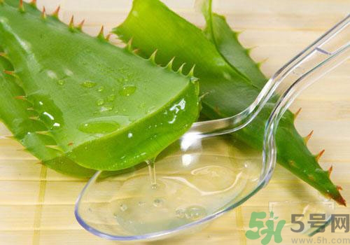 孕婦可以用蘆薈膠嗎？蘆薈膠孕婦可以用嗎？