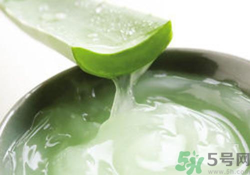 孕婦可以用蘆薈膠嗎？蘆薈膠孕婦可以用嗎？