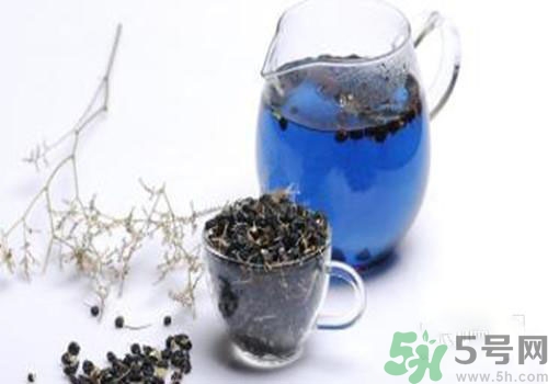 黑枸杞能用開水泡嗎？黑枸杞的沖泡方法