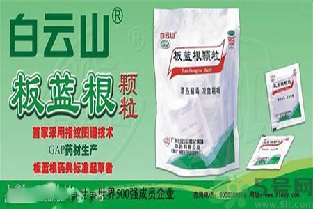 感冒了吃板藍(lán)根有效嗎？感冒了吃板藍(lán)根有用嗎？