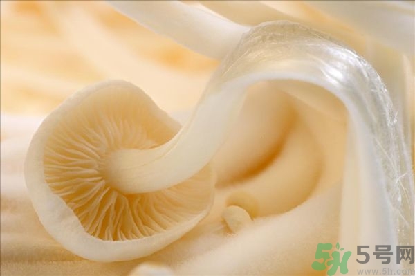 致癌金針菇怎么鑒別？如何選購金針菇？
