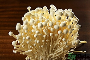致癌金針菇怎么鑒別？如何選購金針菇？